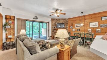 Télévision, cheminée, lecteur de DVD