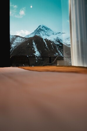 Soundproofing, iron/ironing board, free WiFi - Hotel Misty Mountain (Kazbegi)