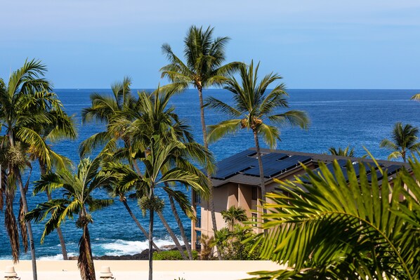 A beachfront property with palm trees, a view of the ocean, and a building with solar panels.