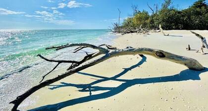 Cozy retreat, NE cape coral oasis 5 mins to restaurants and shopping plaza.