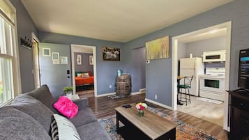 Smart TV, fireplace, DVD player, books