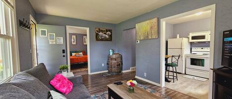 TV connectée, cheminée, lecteur de DVD, livres