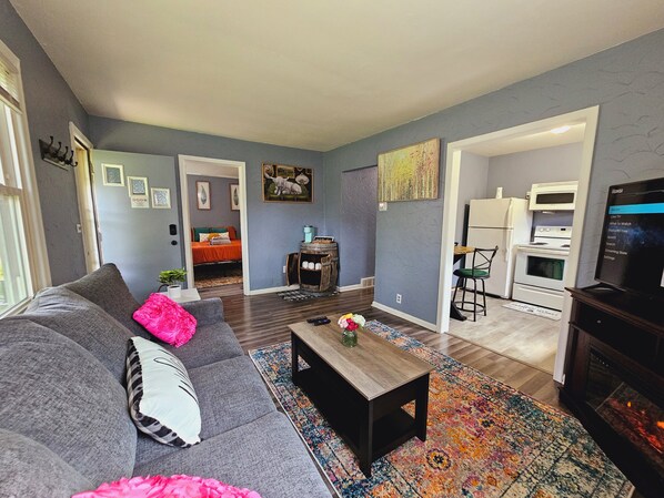 Smart TV, fireplace, books