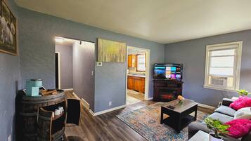 Smart TV, fireplace, books