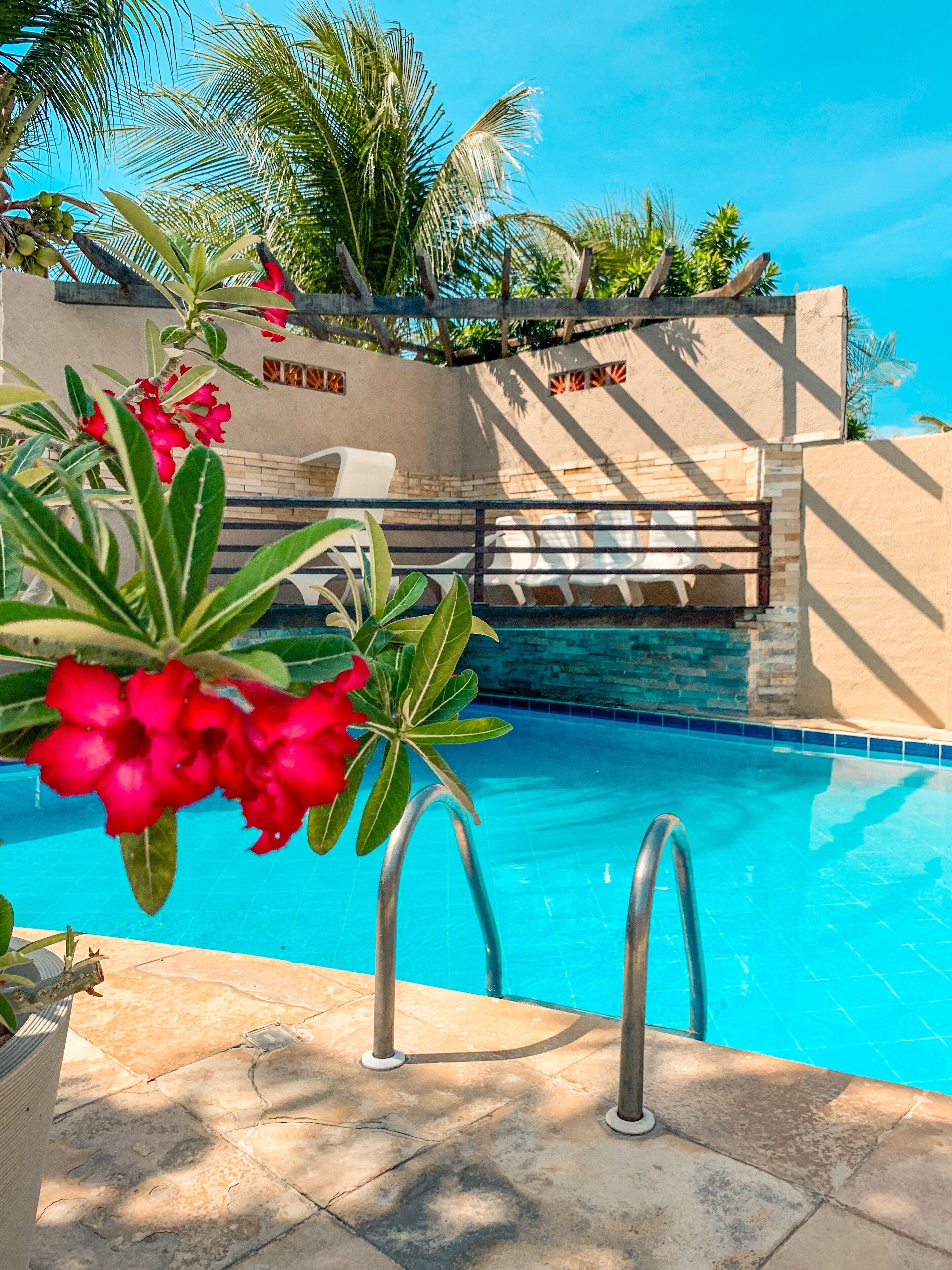 Foto - Falésia Praia Hotel