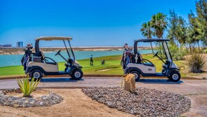 Zwei Golfwagen stehen auf einem Weg, im Hintergrund ein Strand und Palmen.