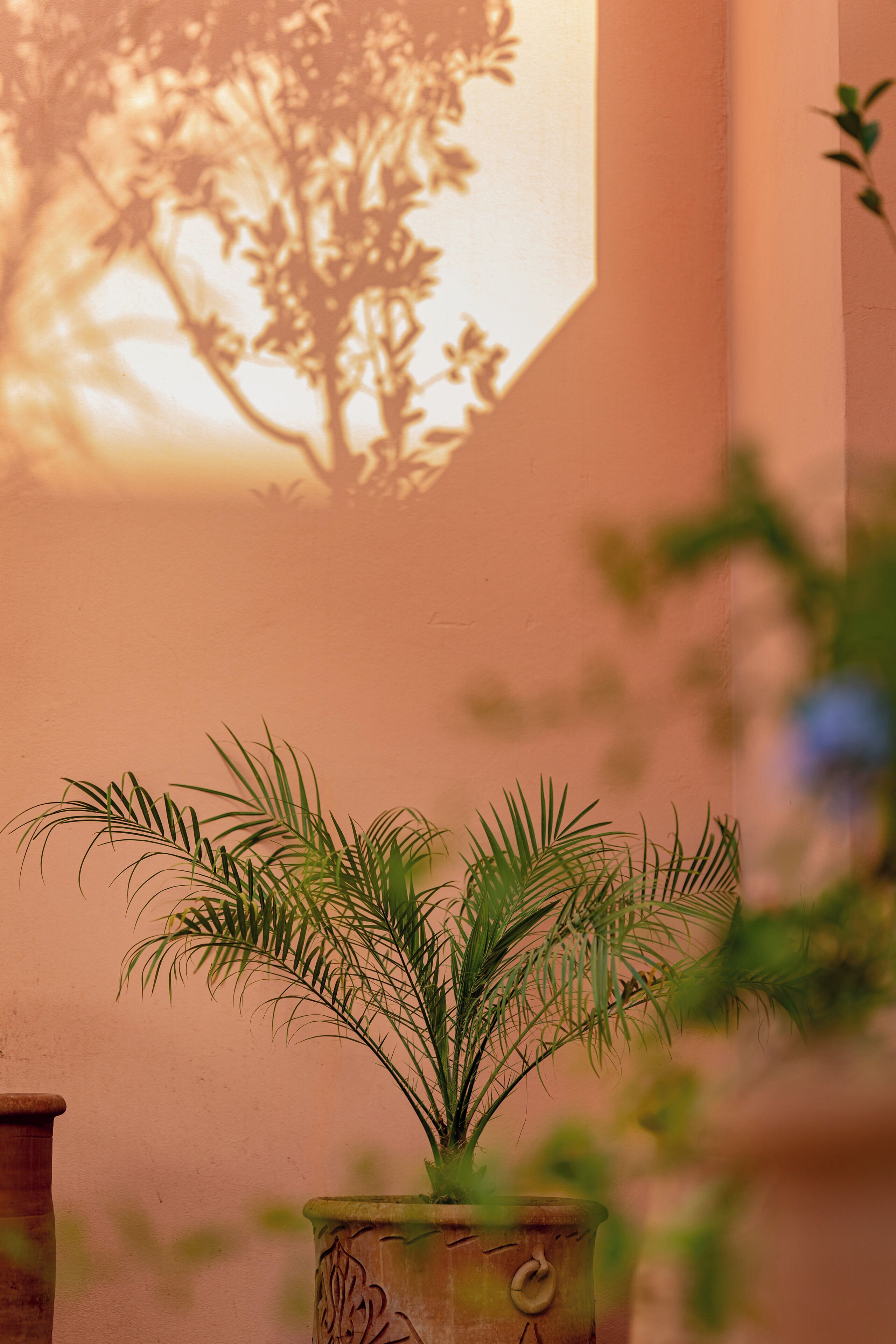 Photo - Hotel Riad Chami