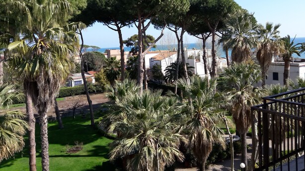 A garden with palm trees and a view of the sea. - Panoramic penthouse a few meters from the sea and the promenade of Terracina (Terracina)