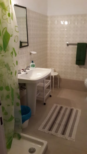 Dusche, Haartrockner, Bidet, Handtücher
