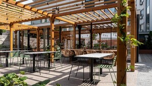 Un patio al aire libre con pérgola de madera, mesas, sillas y macetas con plantas.