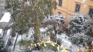 Ein Gebäude mit zahlreichen Fenstern und Balkonen, umgeben von schneebedeckten Bäumen.