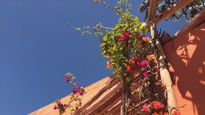 Una pérgola de madera con plantas trepadoras y flores frente a la pared de un edificio.