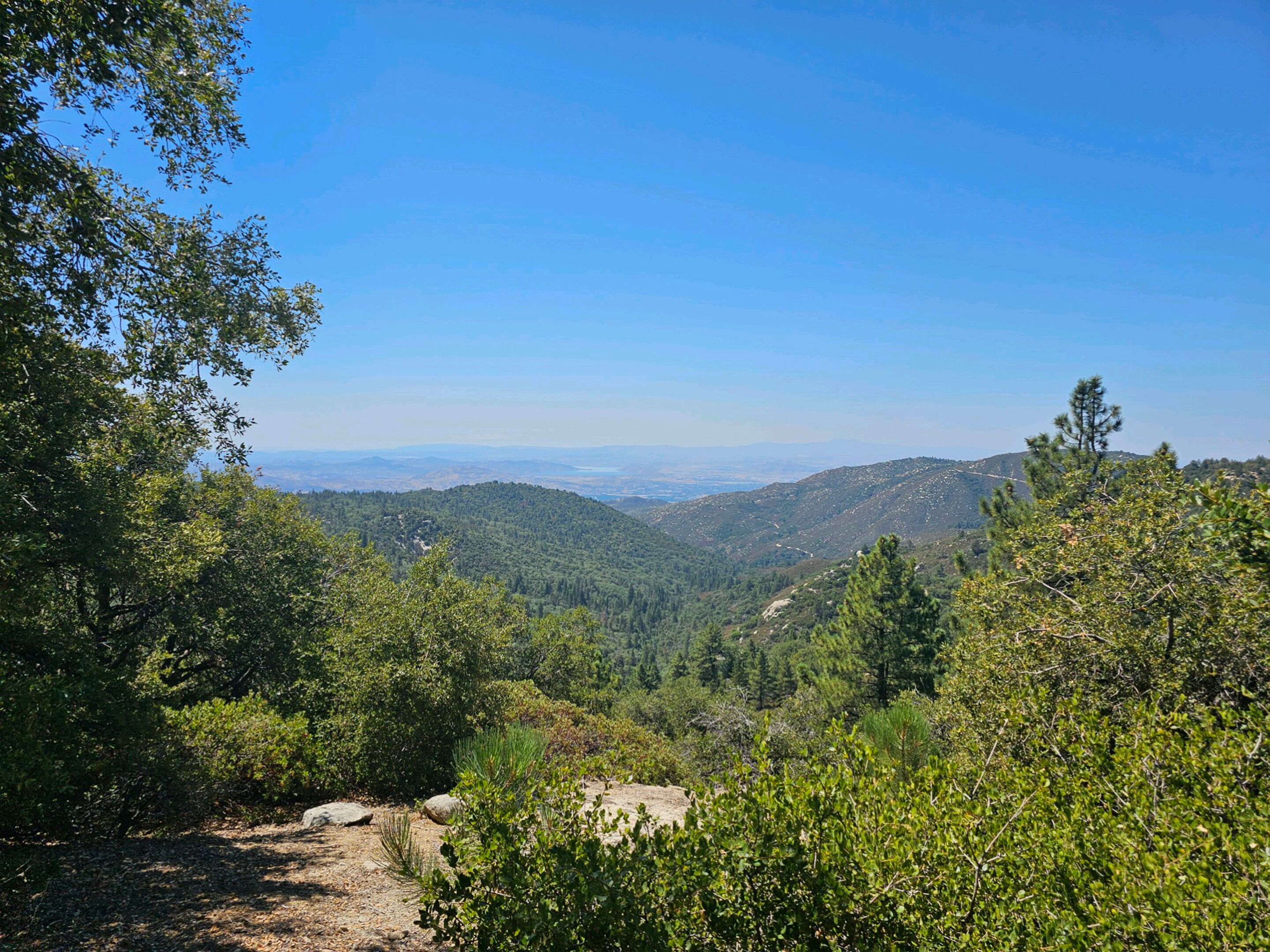 A mountainous landscape with dense forest and a clear sky.