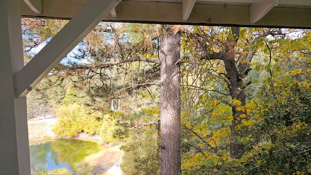 Blick durch ein Fenster auf eine natürliche Landschaft mit Bäumen und einem kleinen Gewässer.