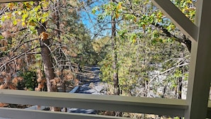 Eine Holzbrücke mit Geländern, umgeben von Bäumen und Blättern.