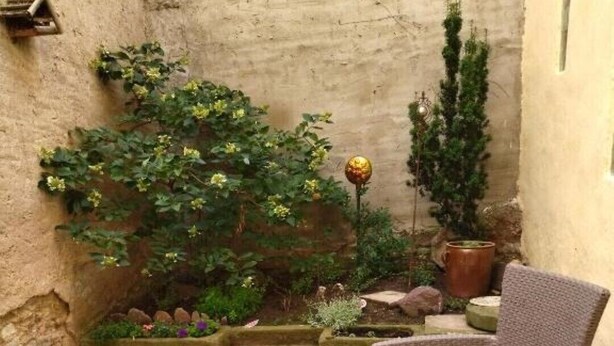 A patio area with wicker furniture and a small garden with plants and a decorative globe. - Narrow & tall - Welcome to the narrowest house in Bad Frankenhausen (Bad Frankenhausen/Kyffhäuser)