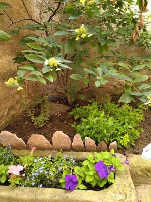 Details aan de buitenkant