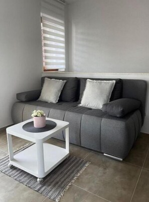 Télévision, cheminée, table de tennis de table