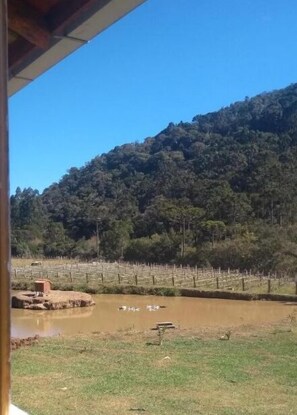 24 inci sebuah televisyen pintar dengan kabel 