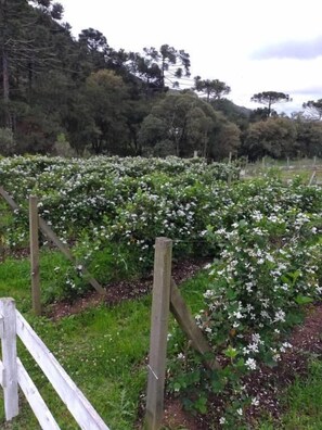 Blick von der Unterkunft