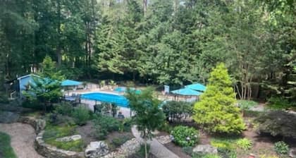 Wake Forest Fall 2023 10/25-11/6 only