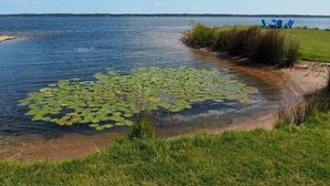 A calm lake with lily pads and a grassy bank. - Malabar Cove - LAKEFRONT, QUIET, & RELAXING!  INCLUDES A/C AND KAYAKS! (Gladstone)