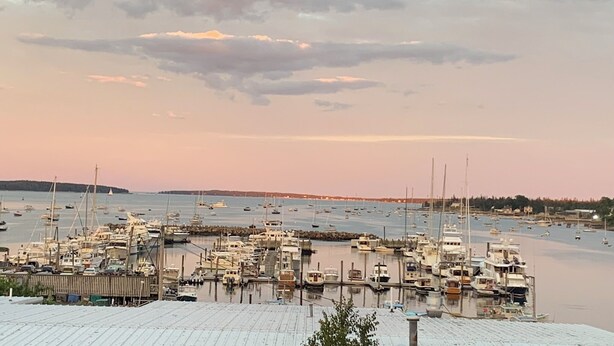 A marina with numerous boats docked, a clear sky, and a distant shoreline. - The "Barn Loft" (Southwest Harbor)