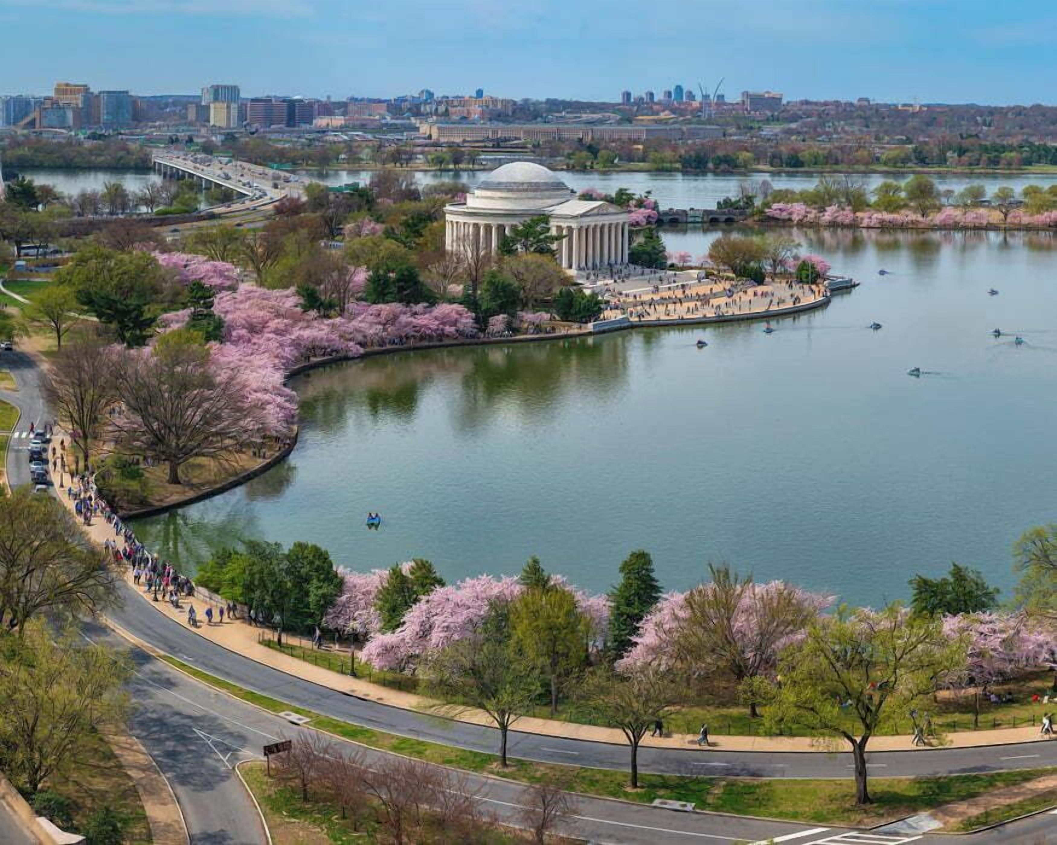 A park with a lake, cherry blossoms, a monument, and a city skyline in the background.