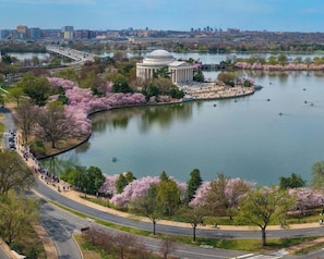 A park with a lake, cherry blossoms, a monument, and a city skyline in the background. - Meeting House Boutique Hotel (Falls Church)