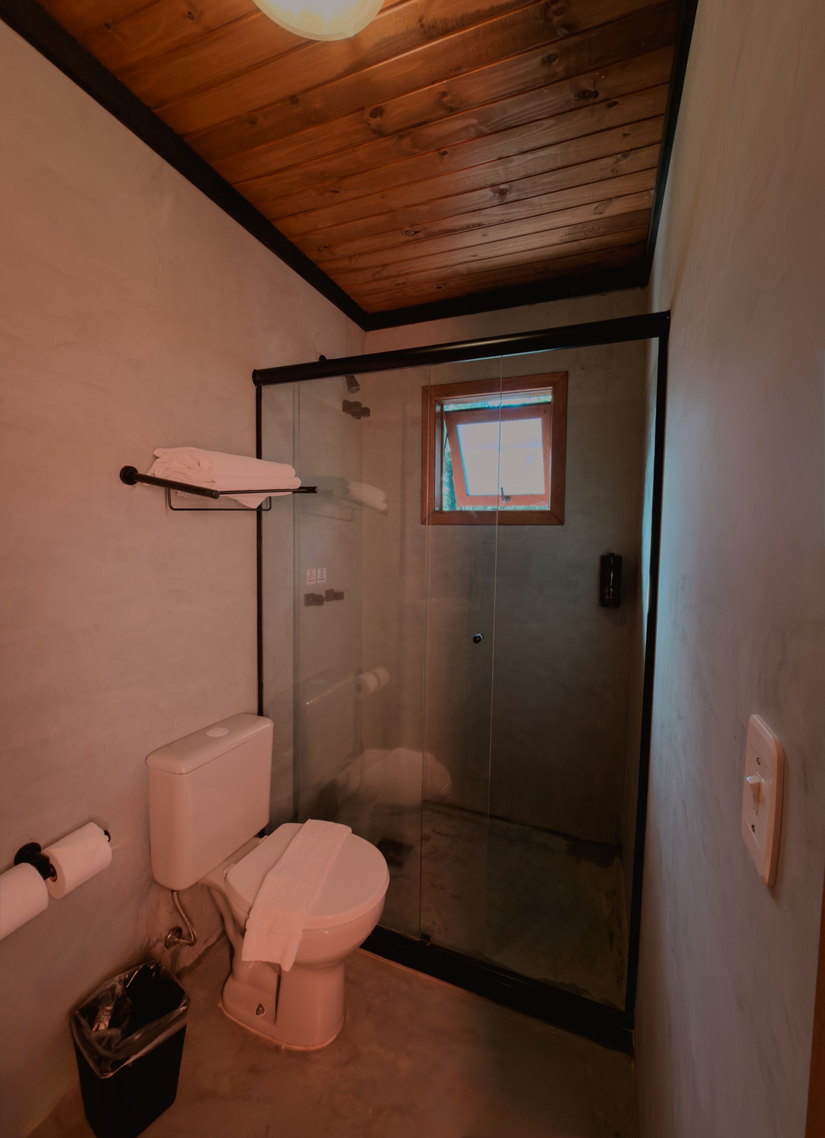 A bathroom with a toilet, a glass shower enclosure, a towel rack, and a small window.