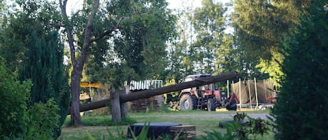 Terrein van de accommodatie