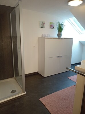 Shower, hair dryer, towels