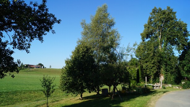 Paisaje rural con camino, árboles y un edificio lejano.