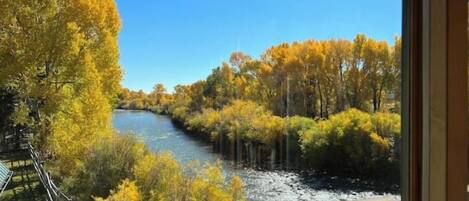Terrain de lâhĂ©bergement