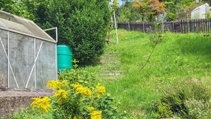 Une serre dotée d’un réservoir d’eau, entourée d’une zone herbeuse et d’une clôture en bois.