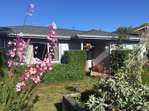 A residential house with a well-maintained garden, a hedge, and a variety of plants.