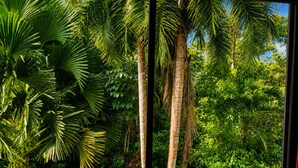 A window view of a lush tropical garden with palm trees and dense foliage. - Modern villa with stunning jungle views (Provincia de Puntarenas)