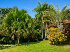 A lush garden with various tropical plants and a well-maintained lawn.