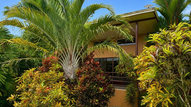 Property grounds - Modern villa with stunning jungle views (Provincia de Puntarenas)