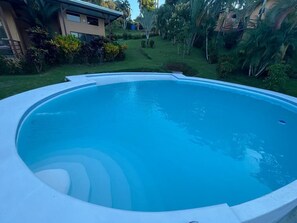 Outdoor pool - Modern villa with stunning jungle views (Provincia de Puntarenas)