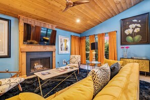 Smart TV, fireplace, video games, books