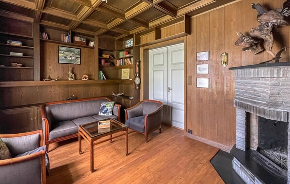 Smart-TV, Kamin