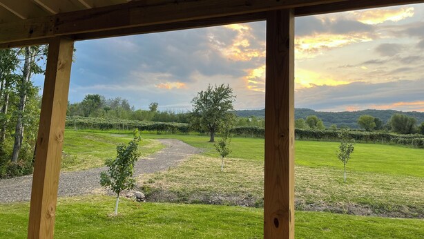 Uitzicht vanuit een houten constructie, met een grasveld, bomen en een pad dat in de verte leidt.