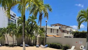Una piscina con sillas de descanso y palmeras.