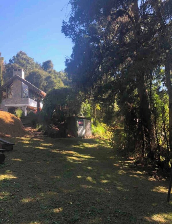 A house with a sloped roof, surrounded by dense trees and a grassy yard.