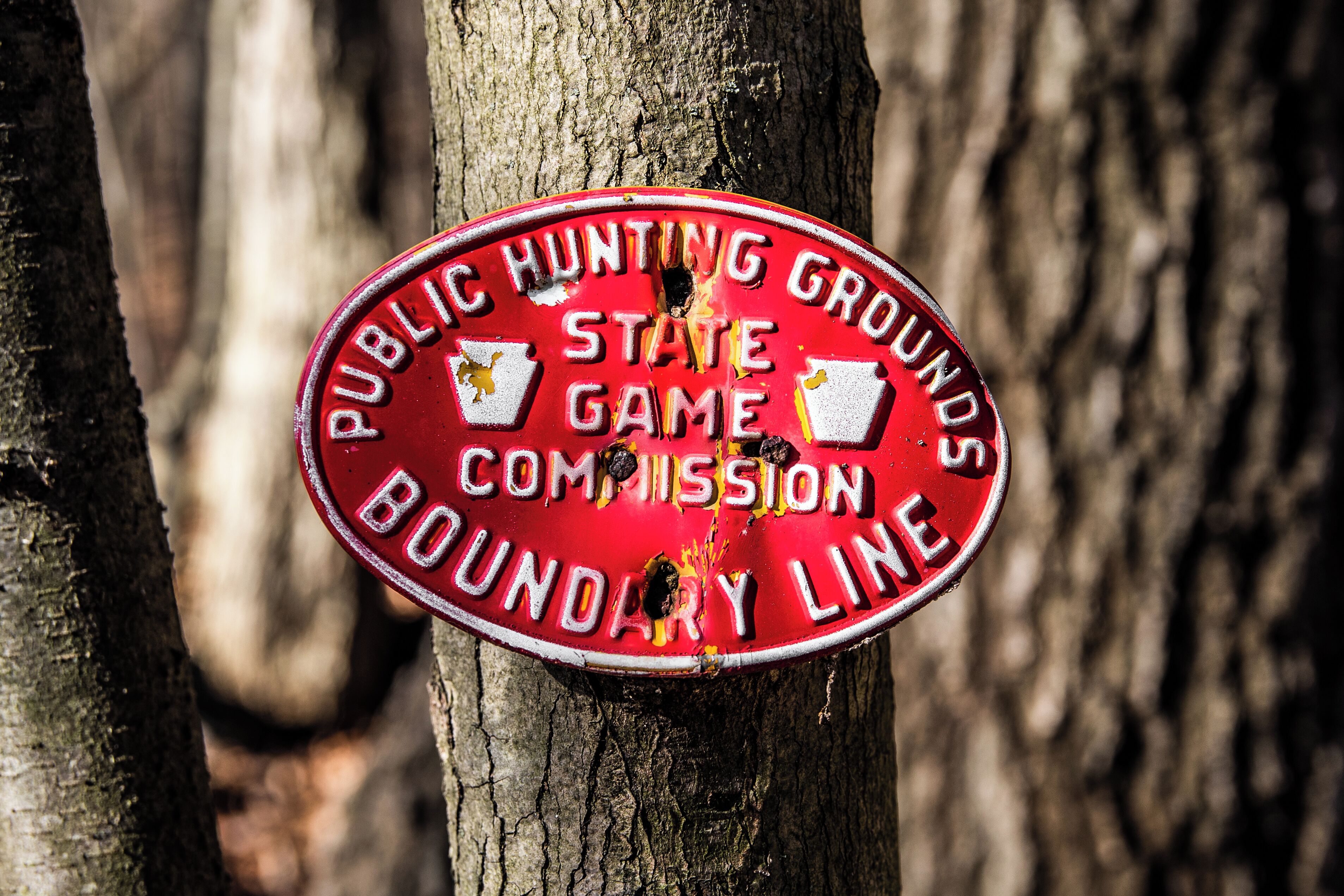 Un letrero rojo con texto blanco que indica "PUBLIC HUNTING GROUNDS STATE GAME COMMISSION BOUNDARY LINE" sujeto a un árbol.