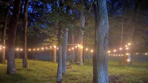 Un área boscosa con luces colgantes y un columpio.