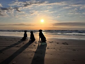 Playa en los alrededores, camastros y toallas de playa 