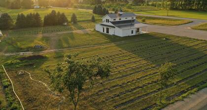 Elderberry Farms Estate Farmstay