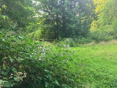 Nature's Paradise Camp Spot!